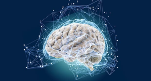 Human brain consciousness scientific mysteries