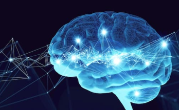 Psychology facts about the human brain and human behavior