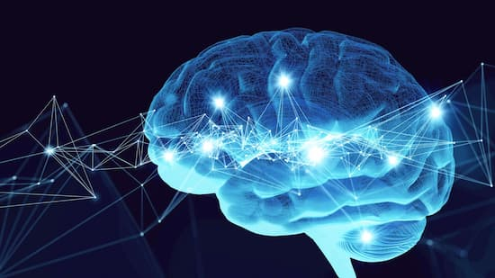 Psychology facts about the human brain and human behavior