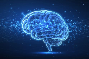 Amazing human brain facts about neurons and brain function